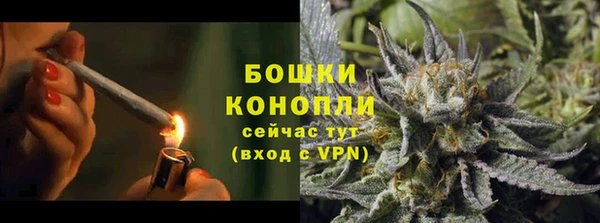 прущая мука Инсар