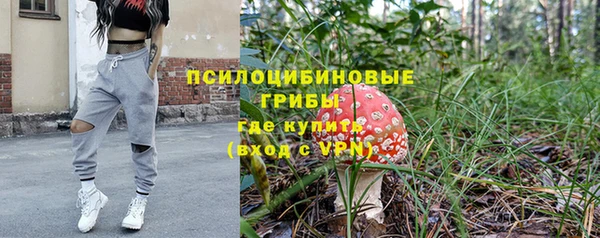 прущая мука Инсар