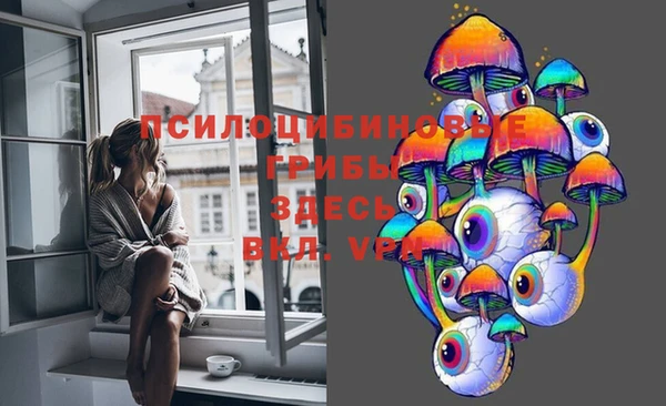 прущая мука Инсар